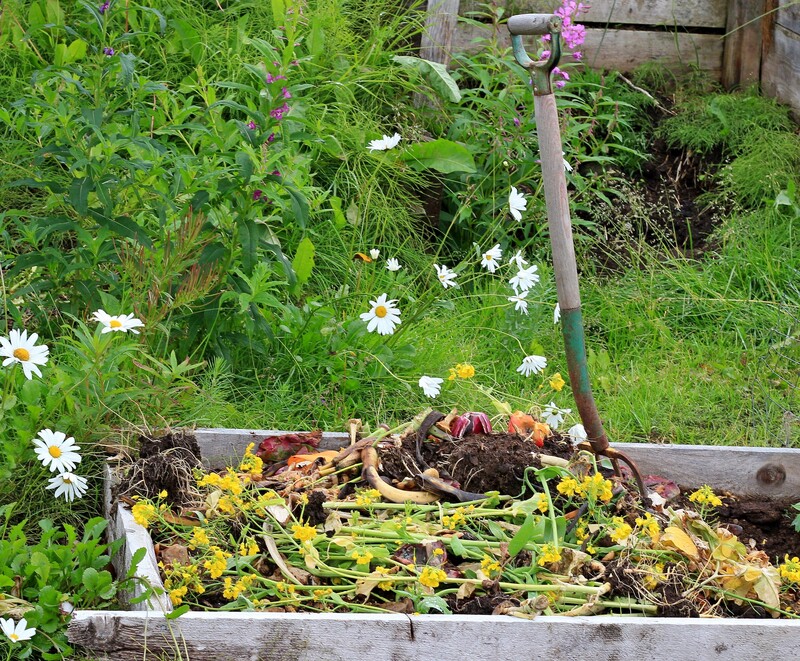 waste removal waste disposal